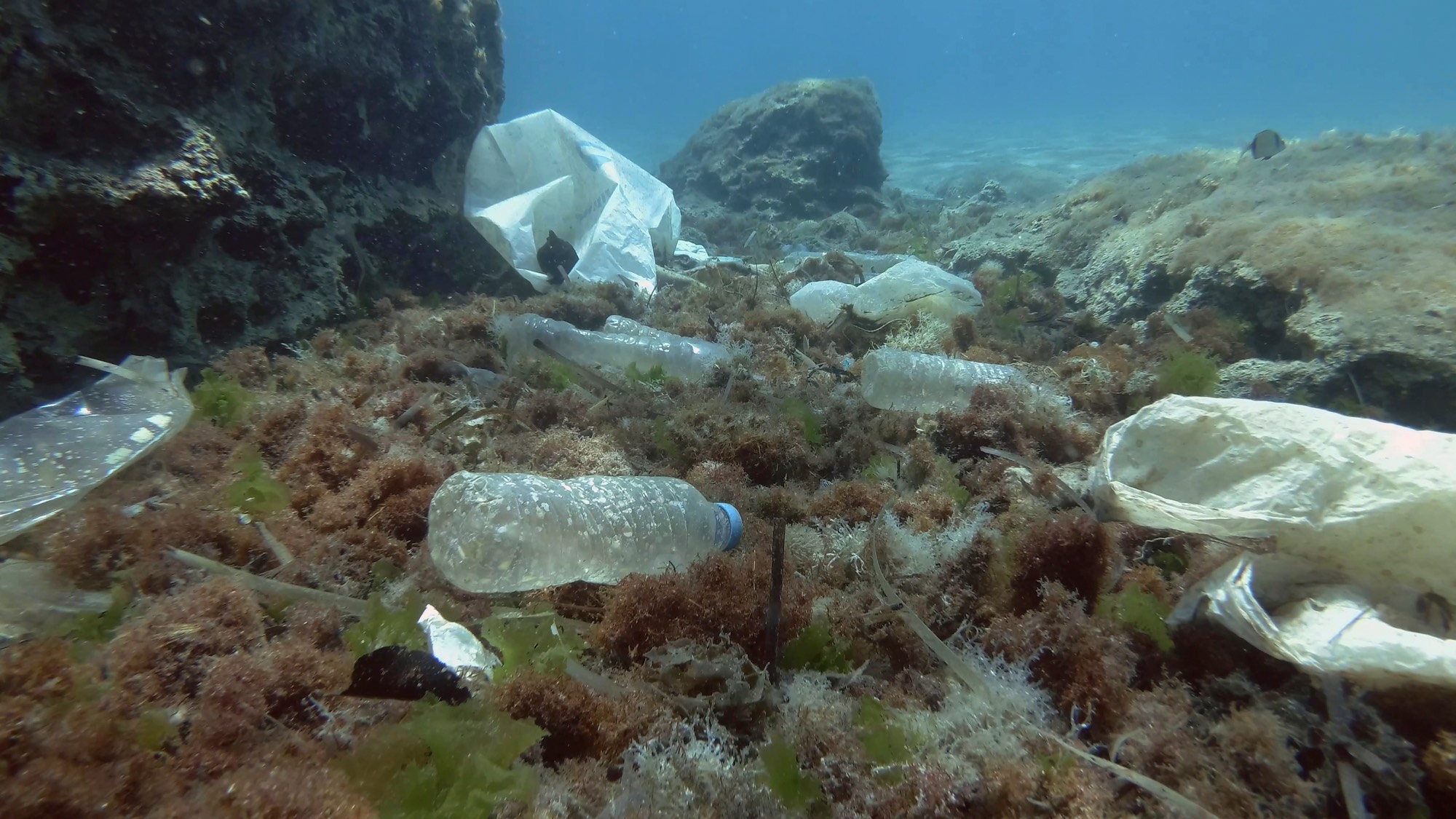 Plastic waste littering a rocky seabed