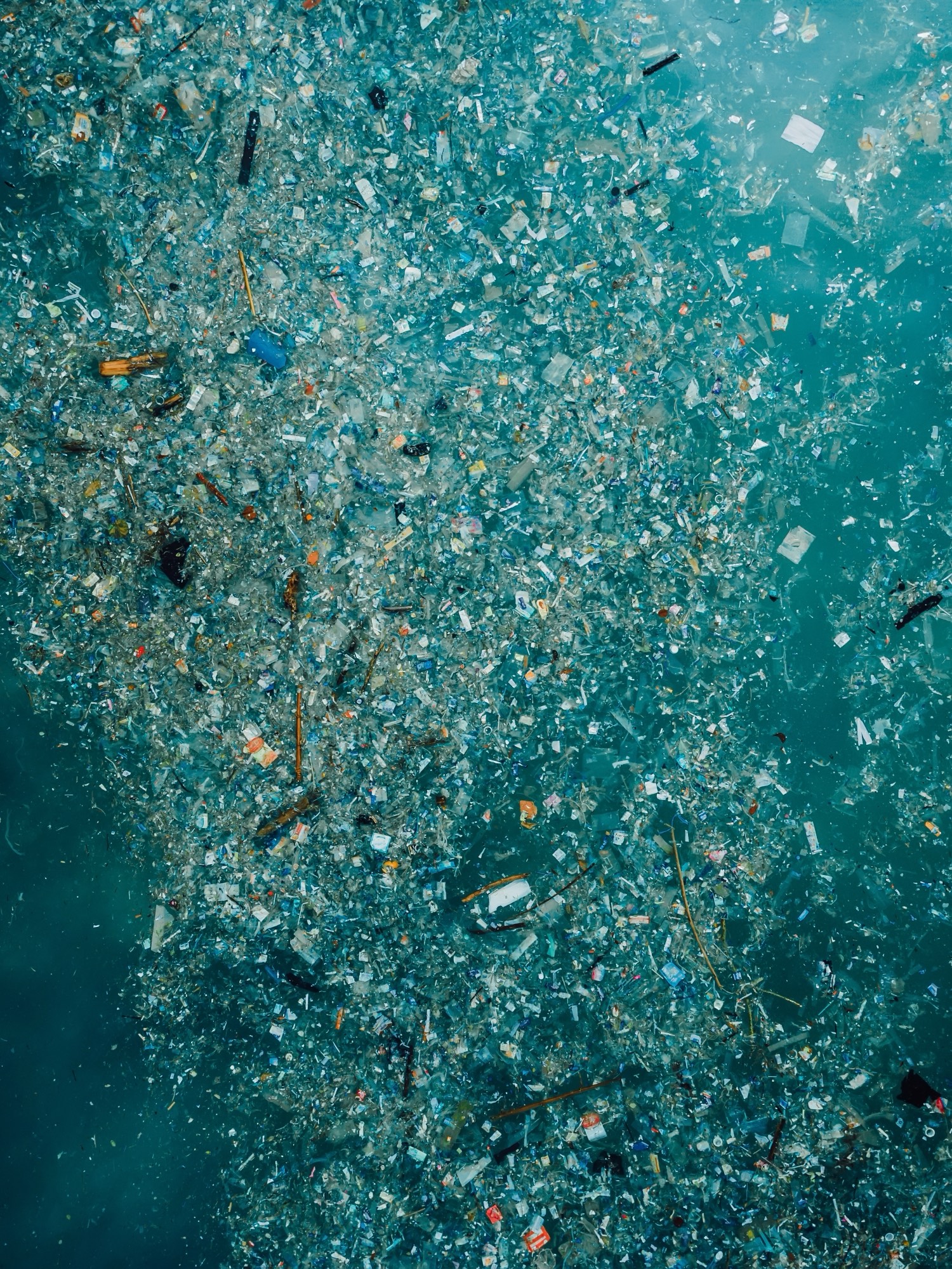 Fragments of plastic drifting in the water