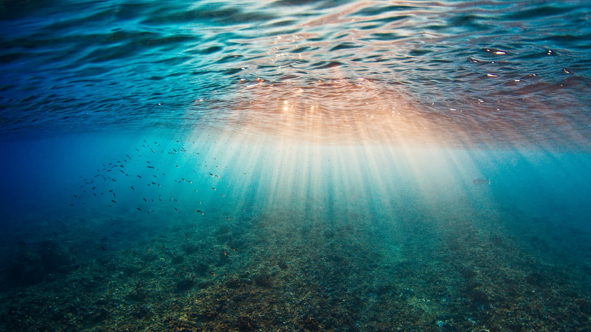 Sunlight shining down through the ocean surface